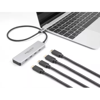 DeLOCK USB Type-C Hub 10 Gbps 4 Porti Alumīnija Pelēks