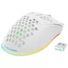 Datorpele Deltaco GAM-120-W RF Bezvadu USB Type-C
