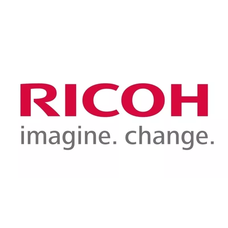 Ricoh M2054057 (M205-4057) radiālā lodīšu gultnis: termorullis