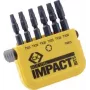 C.K. Bit-Set 6-gab. TORX ar vērpes kontroli (T4513)