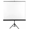 Avtek Tripod Standart 175 projekcijas ekrāns 1:1