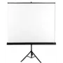 Avtek Tripod Standart 175 projekcijas ekrāns 1:1