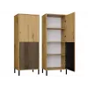 KAMARO 2DK plāns/GŁ ozols ARTISAN DISPLAY CABINET