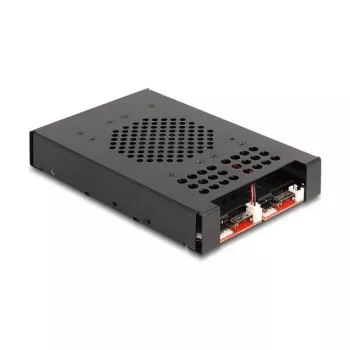 SSD korpuss DeLOCK 47117 3.5 collu mobilais plaukts 2 x M.2 NVMe SSD