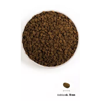 ORIJEN Guardian 8 sausā barība kaķiem - 1,8 kg