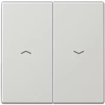 Jung LS 995 P LG (LS995PLG) – Slēdzis un kontaktligzda