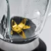 Caso MX 1000 Blender ar 1,5 L stikla trauku un 1300 W