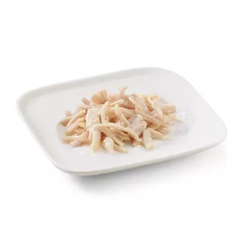 SCHESIR in želejā Vistas gaļa - slapjā suņu barība - 150 g