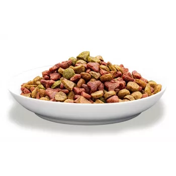 Sausā barība kaķiem PREVITAL Adult ar liellopu gaļu 1.4 kg