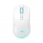 Pele Baracuda BGM-122 Turtle Balta TURTLE-W