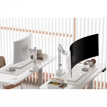 Monitora stiprinājums DIGITUS Single, skava, 57 collas maks., 27 kg ietilpība, VESA 75x75–100x100, balts