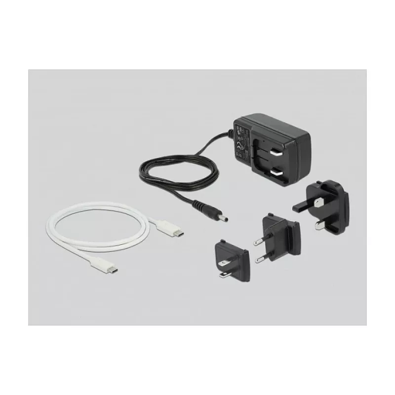 Docking Station DeLOCK USB Type-C 3.2 2 x 2.5 inch SATA HDD/SSD