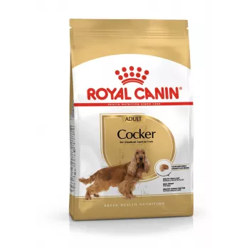 Sausā suņu barība Royal Canin Cocker Adult 12 kg — Mājputnu gaļa, 25% olbaltumvielas, 14% tauki
