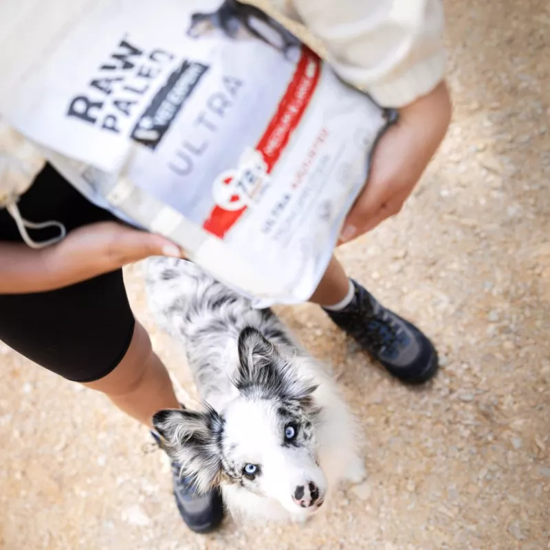 RAW PALEO Ultra Medium&Large Puppy Beef - sausā barība kucēniem - 10 kg