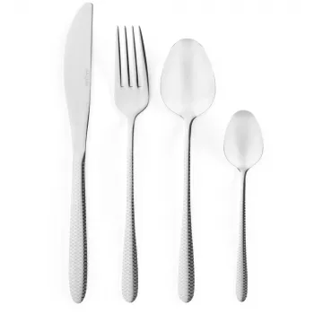 Galda piederumu komplekts 16 daļas Salter BW113282EU7, Nerūsējošais tērauds, 4 personām