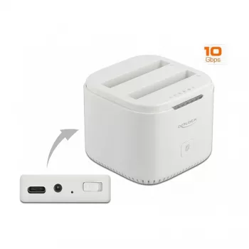Docking Station DeLOCK USB Type-C 3.2 2 x 2.5 inch SATA HDD/SSD