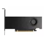 Grafikas karte NVIDIA RTX PRO 2000 16 GB GDDR7