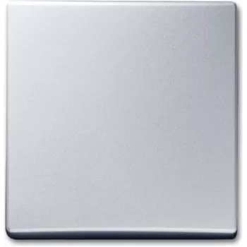 BUSCH-JAEGER svira Wechsel 2106-33 AW44 alusilber 2106-33