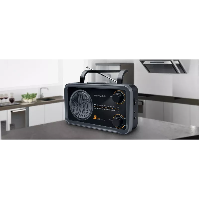 Muse M-06DS 2-joslu pārnēsājamais radio, AUX ieeja, pelēks
