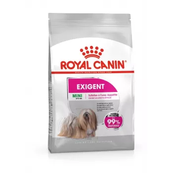 Sausā suņu barība Royal Canin Mini Exigent 1 kg — mazo šķirņu pieaugušiem suņiem