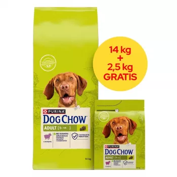 PURINA Dog Chow Adult Lamb - sausā suņu barība - 14 + 2,5kg