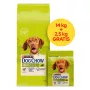 PURINA Dog Chow Adult Lamb - sausā suņu barība - 14 + 2,5kg