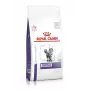 Royal Canin Dental sausais kaķu ēdiens, 1,5 kg