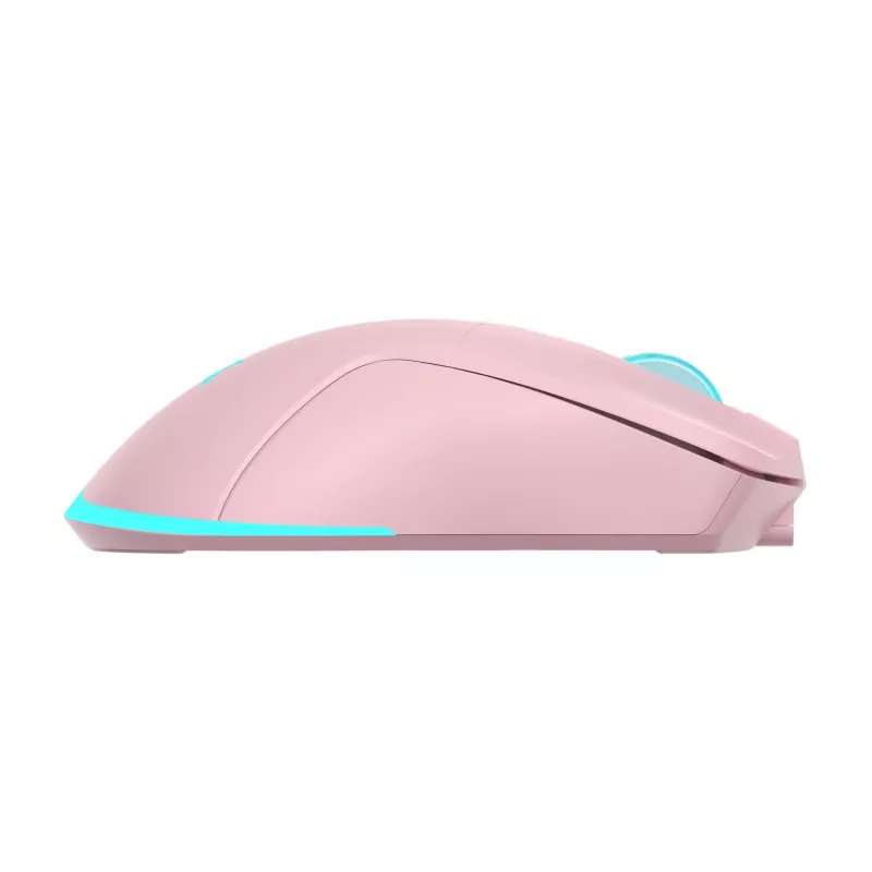Bezvadu pele Baracuda BGM-124 Turtle Pink TURTLE-P