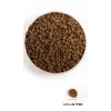 Acana Wild Prairie Cat - sausā kaķu barība - 4,5 kg