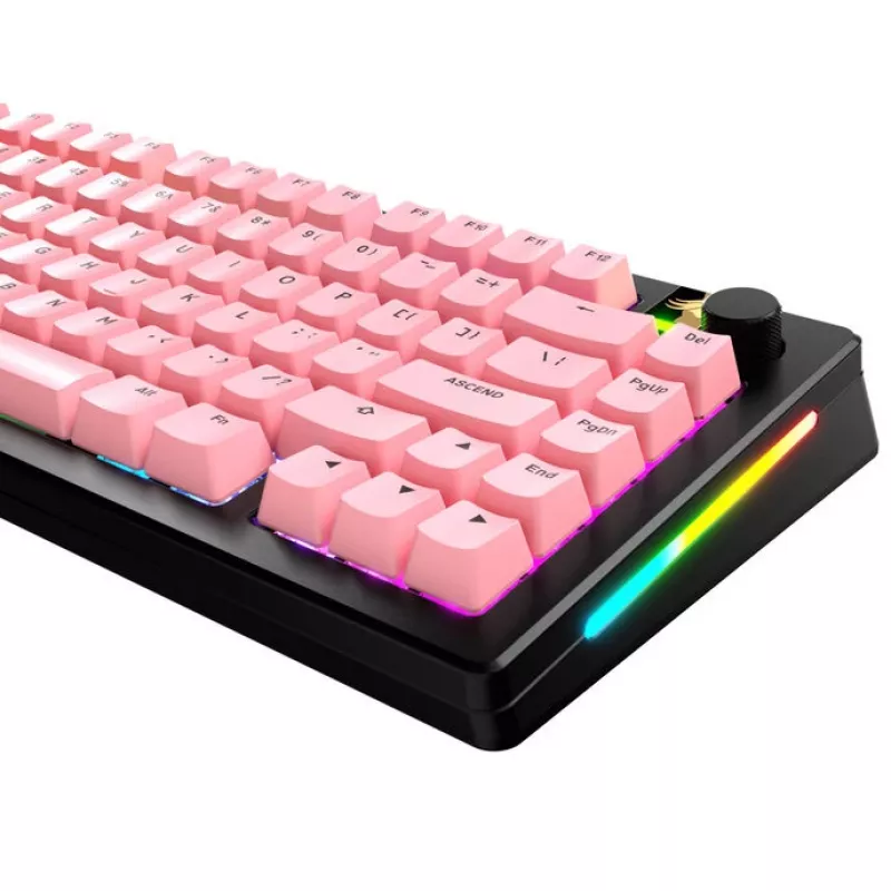 Mehāniskās tastatūras taustiņu komplekts GLORIOUS GPBT Basics ANSI PBT Potion P