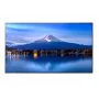 Lielformāta displejs SHARP NEC P506 50 collu P-Series UHD