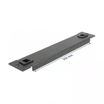 Aklais panelis DeLOCK 10 collu tīkla skapim 66576