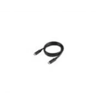 Lenovo 4X90U90619 USB-C kabelis 1m USB 3.2 Gen 2 melns