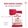 Royal Canin SHN Medium Adult sausā barība suņiem, 15 kg