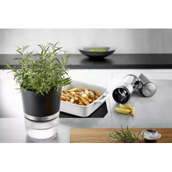 GEFU BOTANICO garšaugu pods, brīvi stāvošs, plastmasa, nerūsējošs tērauds, melns