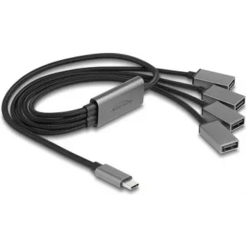 DeLOCK 64210 USB 2.0 Type-C centrmezgls 480 Mbit/s Melns Pelēks