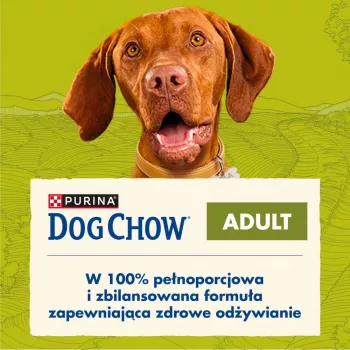 PURINA Dog Chow Adult Lamb - sausā suņu barība - 14 + 2,5kg