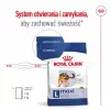 Royal Canin Maxi Adult sausā barība suņiem, 15 kg
