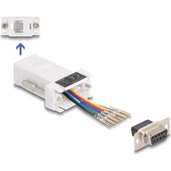 DeLOCK 67078 dzimuma mainītājs D-Sub 9 uz RJ12 balts