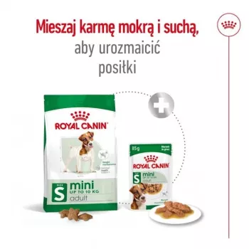 Sausā suņu barība Royal Canin Adult Mini S 8 kg — pilnvērtīga barība mazo šķirņu pieaugušiem suņiem
