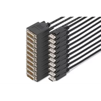 Digitus DisplayPort – DVI adaptera kabelis, 10 gab. iepakojums