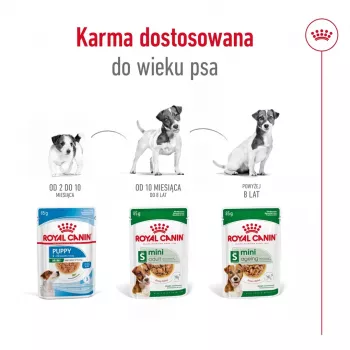 Slapjā suņu barība Royal Canin Mini Adult maisiņš 85 g, mājputnu gaļa, mazām šķirnēm 5–10 kg, 12 × 85 g iepakojums