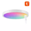 Griestu lampa 30cm WiFi/Bluetooth 16M RGBCW Gosund LB12 1920lm Tuya + Tālvadības pults