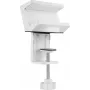 SpeaKa Professional Universāls skavas stiprinājums kontaktligzdu sloksnei SP-PSH-001 SP-13403152 Balts 1 gab.
