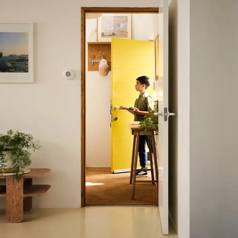 Yale iekštelpu sirēna, bezvadu, pelēka, balta
