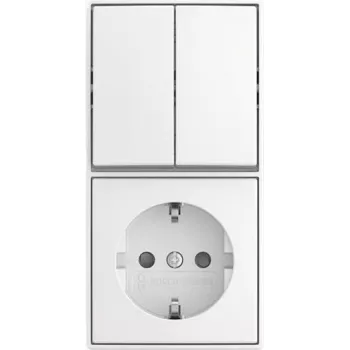 BUSCH JAEGER Kombinētais svārstslēdzis 2601/5/20 EAPBJ-524 (2TKA00005538)