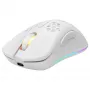 Datorpele Deltaco GAM-120-W RF Bezvadu USB Type-C