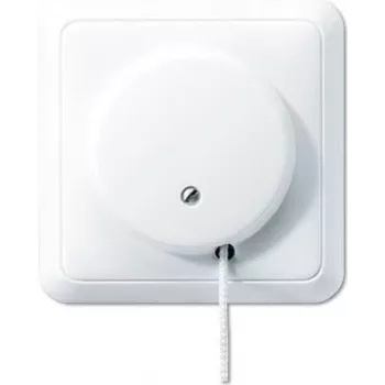 JUNG 5506 to WW - Ķēdes slēdzis - vītā savienojuma - balts - termoreaktīvā plastmasa - 250 V - 10 A