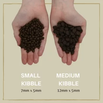 Sausā suņu barība Eden Puppy Cuisine 80/20 Small kibble 6 kg — kucēniem, lasis, 40% olbaltumvielu, 17.5% tauku