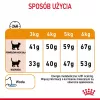 ROYAL CANIN Hair&Skin Care Adult - sausā barība kaķiem - 400g